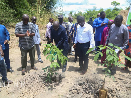 CENTRAL REGION: Veep Cuts Sod For 1.8 Million Euro Rubber Plantation Project (PICS)