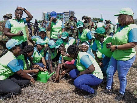 BPA Marks Green Ghana Day