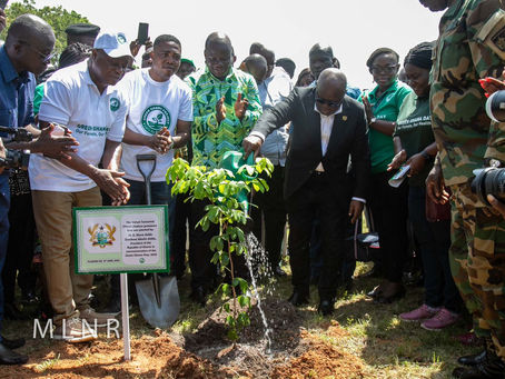 "Green Ghana Day 2023, a day of hope for climate action" - Prez. Akufo-Addo declares