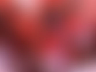 La Youth to demonstrate against 'looted lands' today