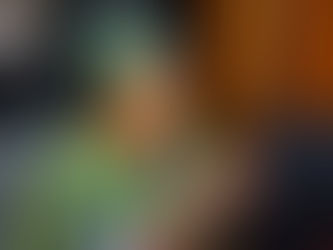 WALEWALE ELECTION CONFUSION: "I will no longer be your candidate for 2024 elections" - Hajia Lariba