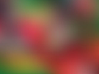 Ga Mashie turns red in colourful Homowo 2024 celebrations