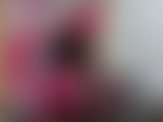 "Breast Cancer is deadly" – Nina Ahemaa Duodu