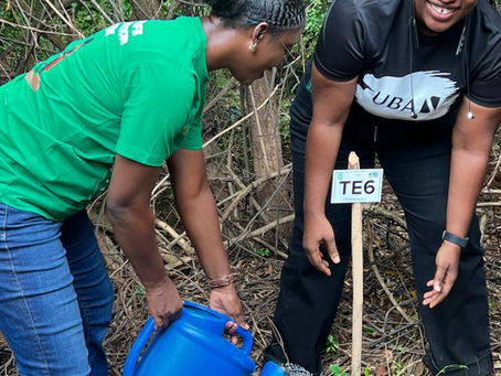 OPINION: You don’t need to be a forester to make a difference — just plant a tree
