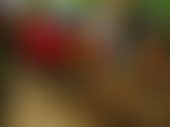 Alhaji Murtala Mohammed, Alhaji Muniru Mohammed Limuna laid to rest