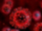 FDA Approves First Herbal Medicine For Clinical Trial On Covid-19