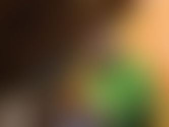 "A vote for Mahama will take the country backwards" – Akufo-Addo to Ghanaians