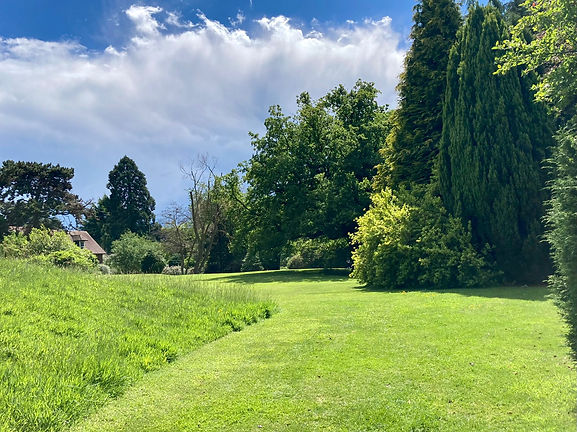 Botanic Gardens 1.jpeg