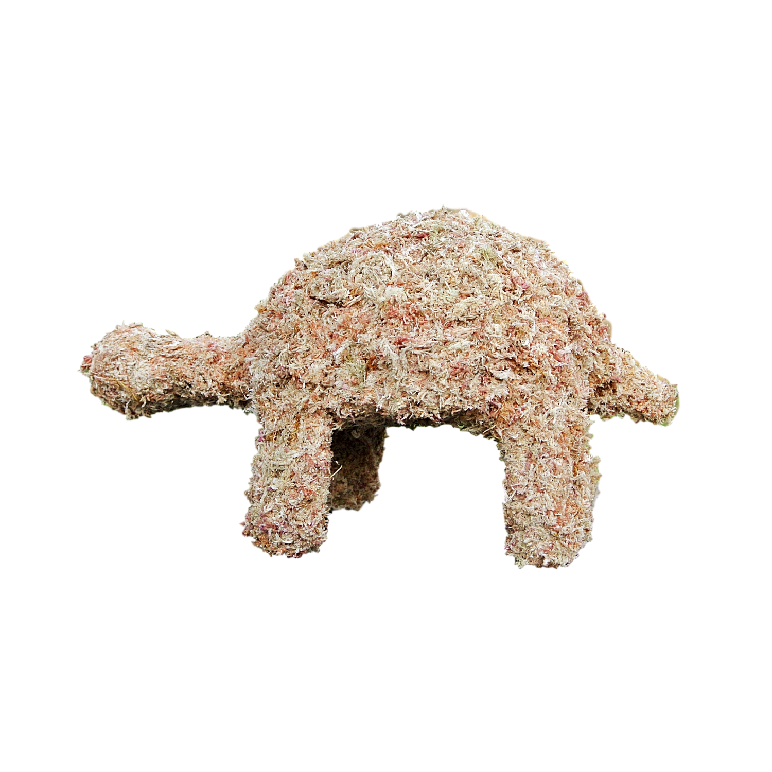 Medium Turtle Stuffed; side view.