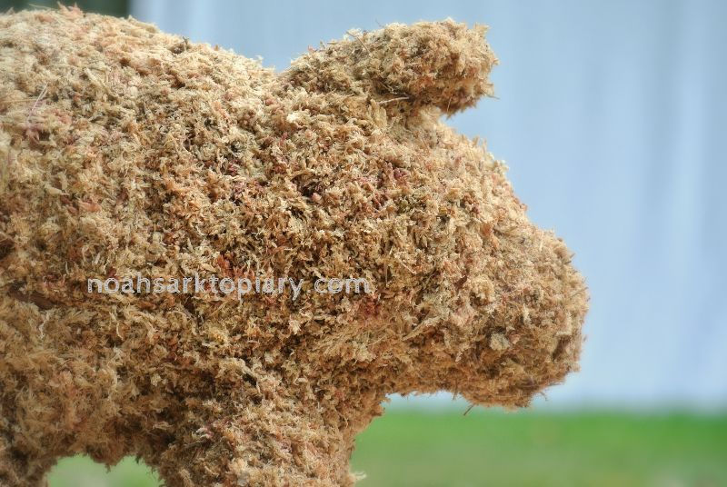 Miniatura: Medium Pig topiary stuffed; close up view outside setting.