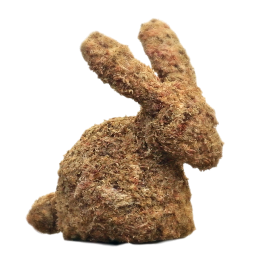 y⭐︎Rabbit Hoppy Spring with Bunny Rabbit - Wood Framed Sign - Multiple