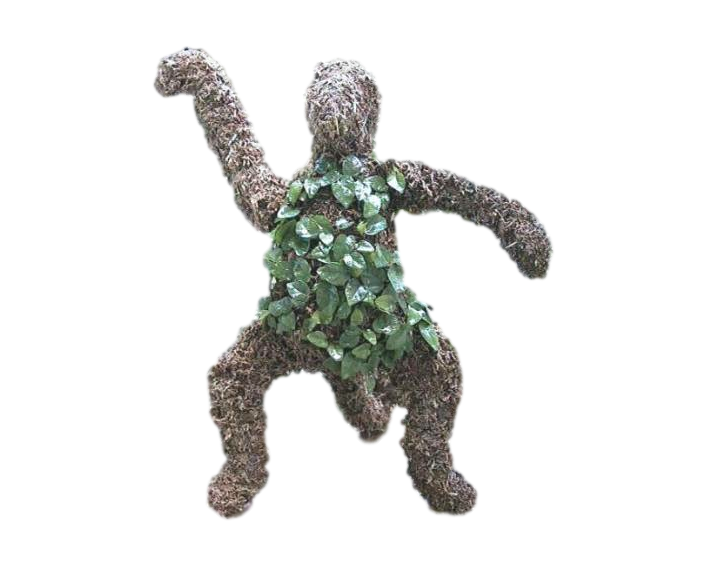 Thumbnail: Standing Monkey topiary planted; front view.