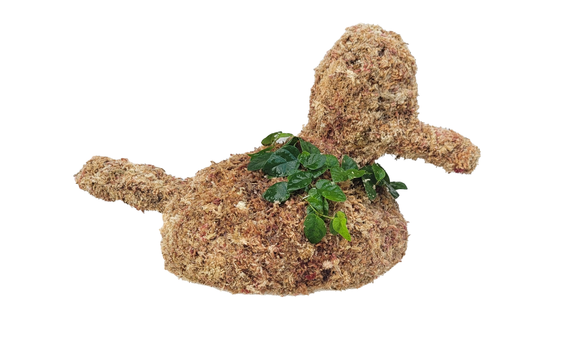 Duck Topiary Planted