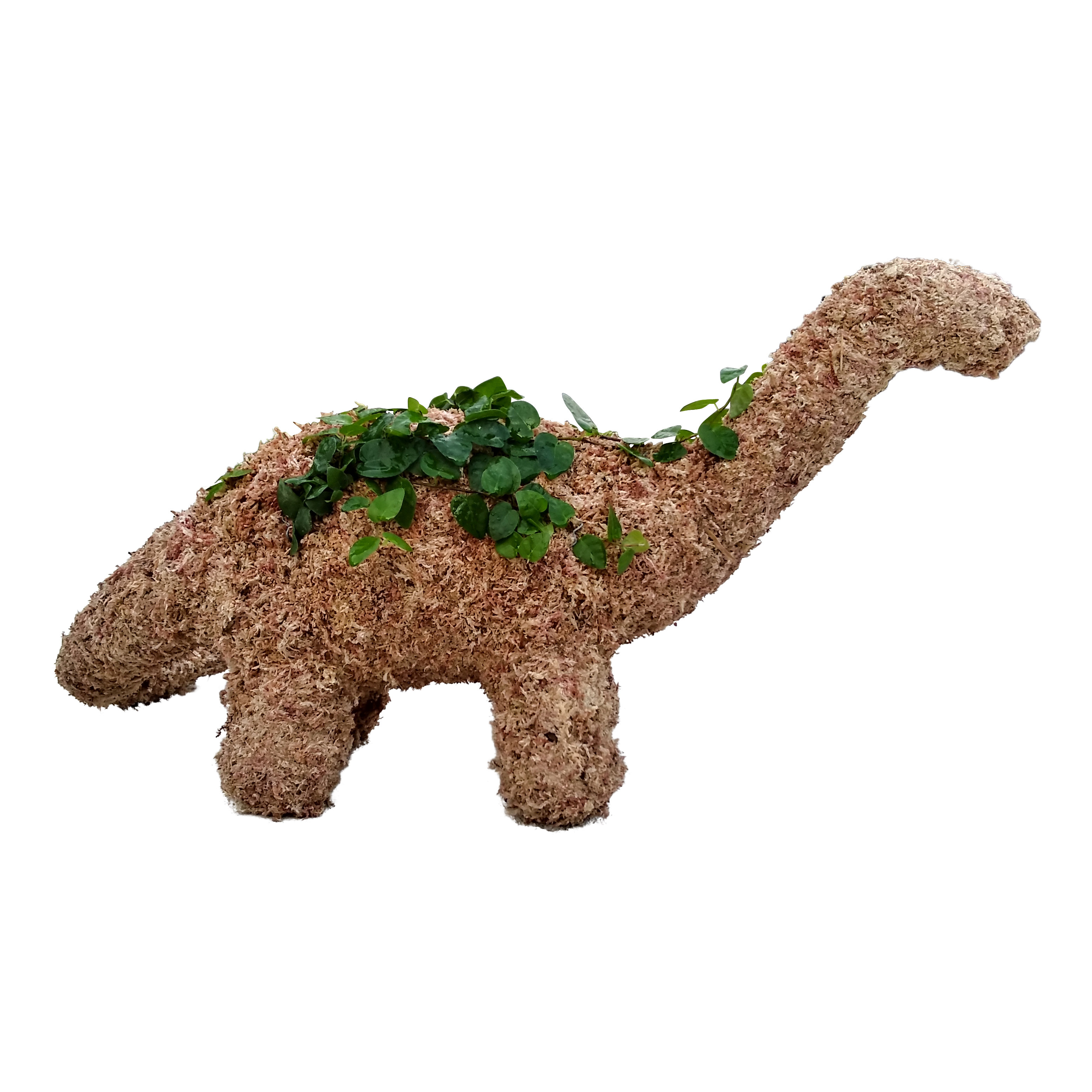 Dinosaur Brontosaurus Topiary - Planted | Noah's Ark Topiary