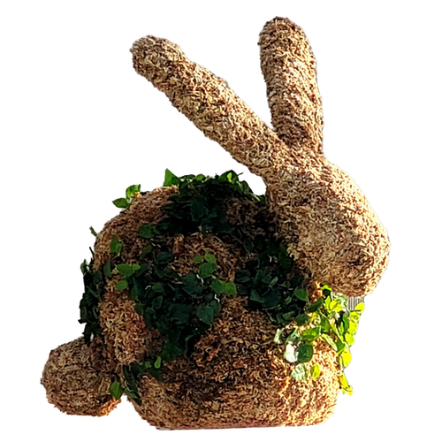 Large Bunny Topiary - Planted | Moss & Vine Topiary