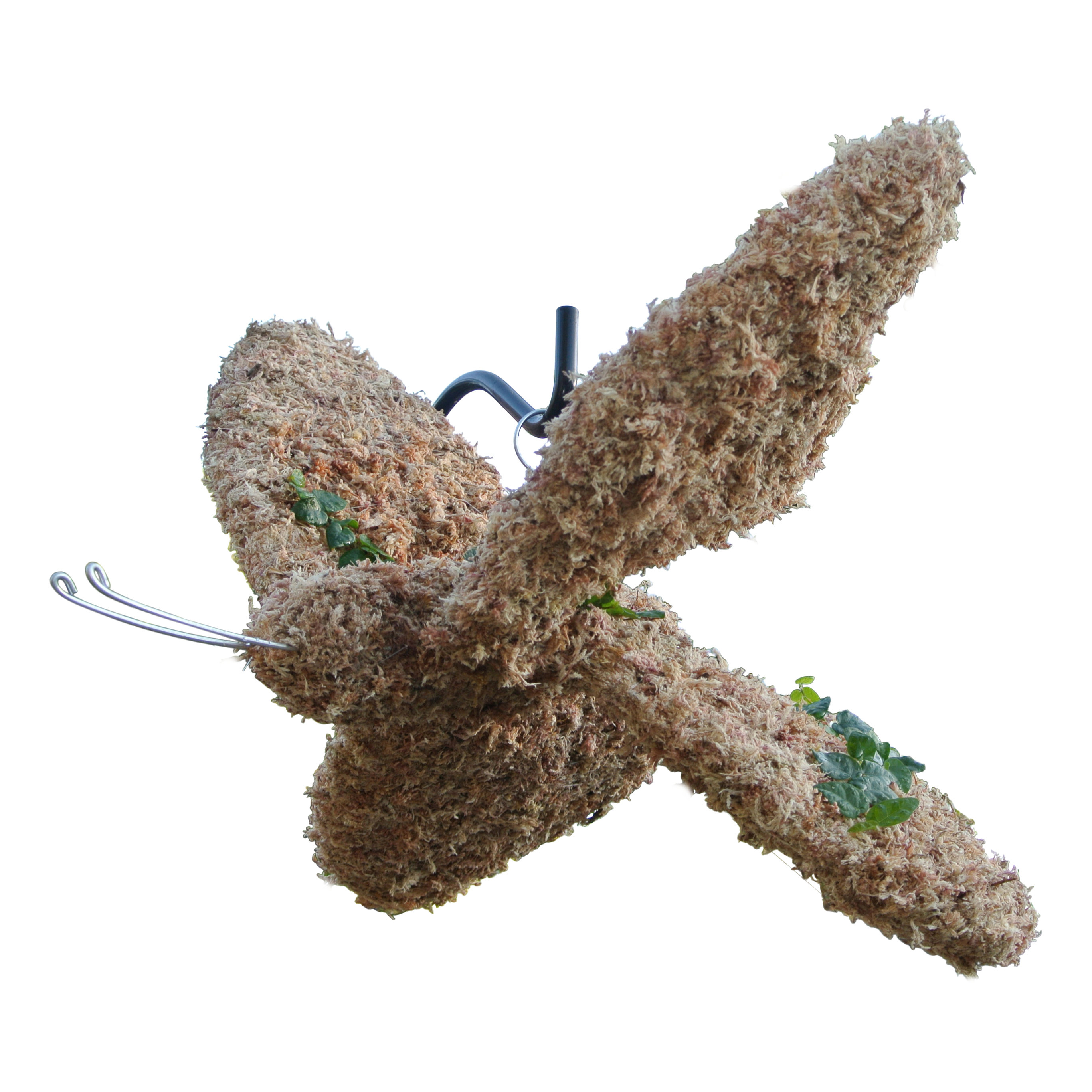 Large Butterfly Topiary - Planted | Noah's Ark Topiary