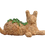 Miniatura: Reclining Cat topiary planted; front view.