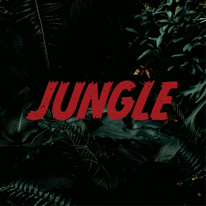 Jungle Album Cover.png