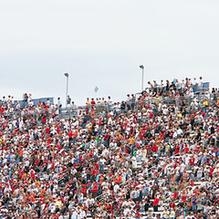 Crowd in Stands