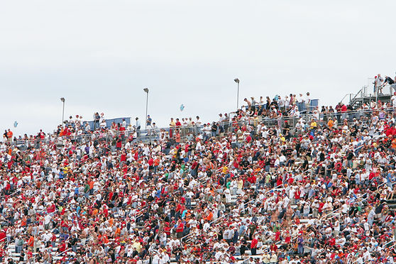 Crowd in Stands