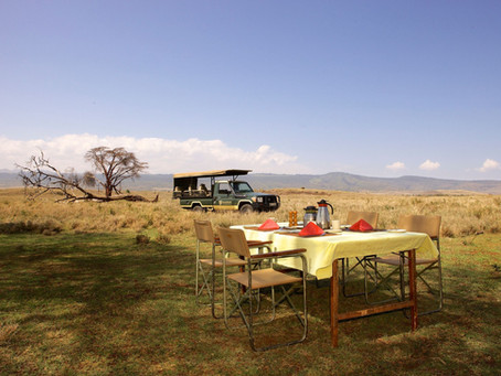Een dag op safari met Mgeni Safaris in Oost-Afrika