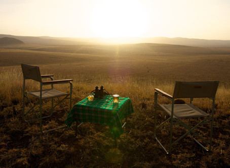 Op safari in Oost-Afrika na covid-19
