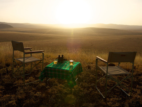 Op safari in Oost-Afrika na covid-19