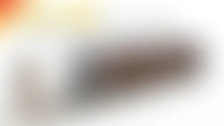 Memorandum of Understanding (MOU)