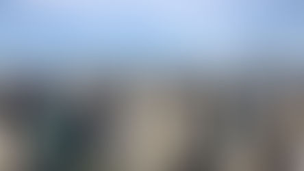 International Distribution Agreements