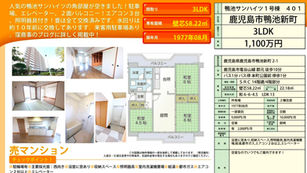 鴨池サンハイツ 1,100万円