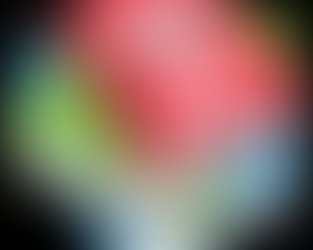 Vencedores do TOP + das Turmas Leitoras