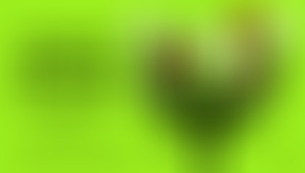 AEVST na final do CNL