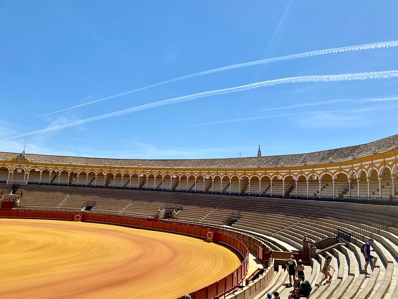 seville plaza de toros.jpg