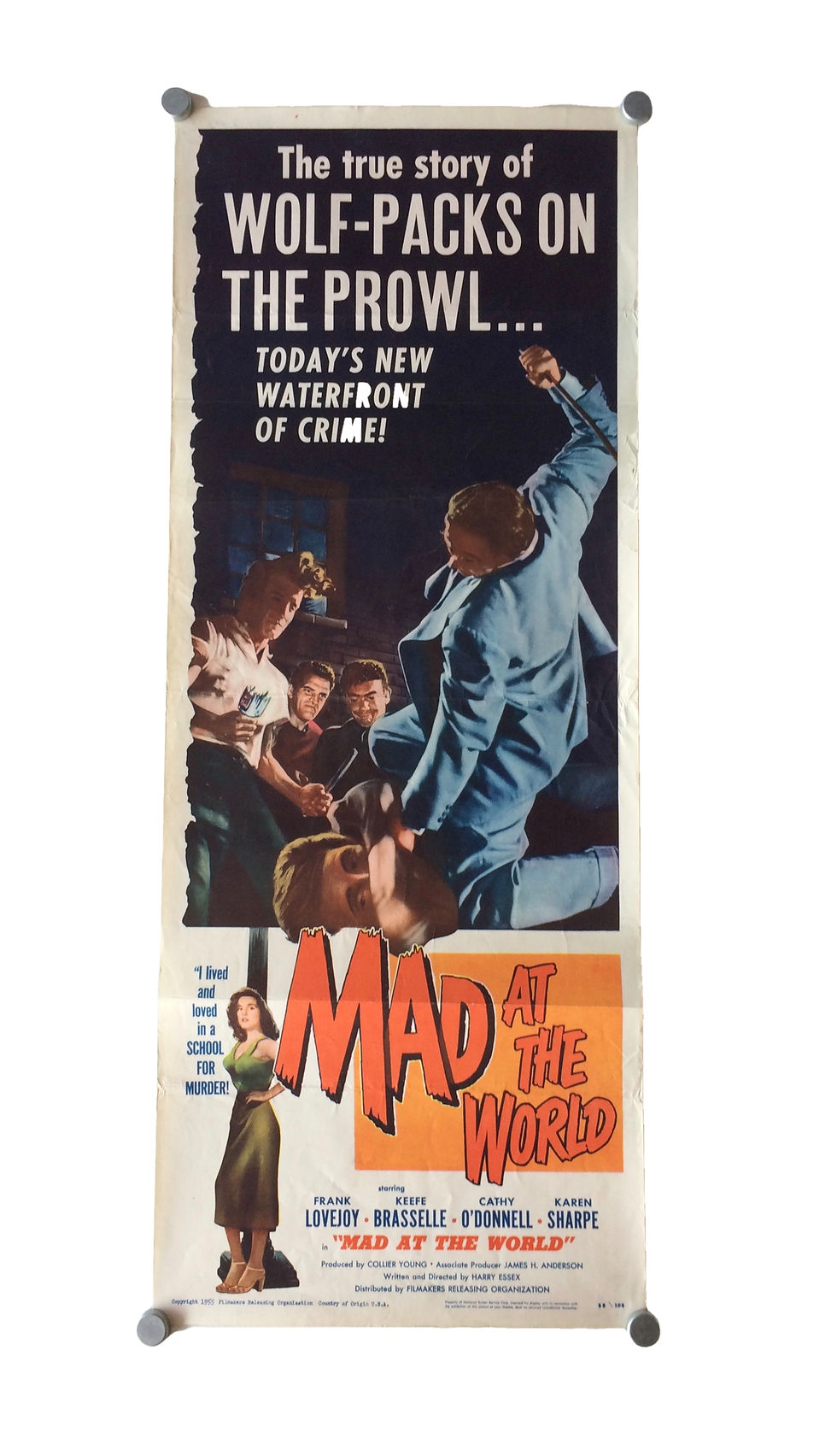 Mad At The World US Insert Film Poster 1955