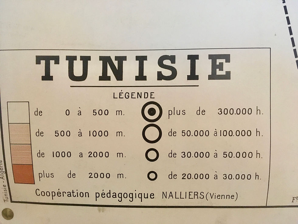 Thumbnail: Vintage French North African Educational Map