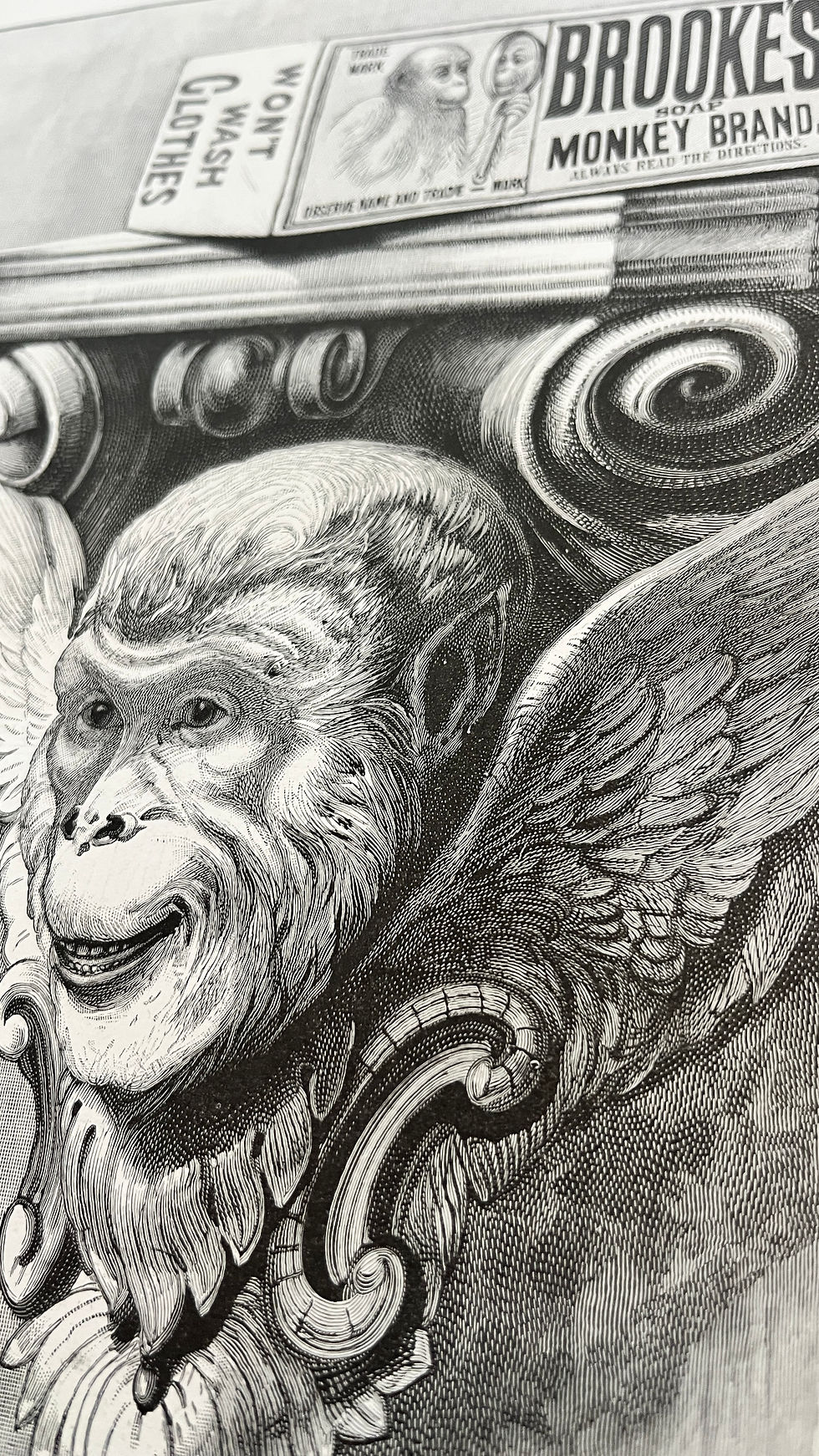 Thumbnail: Monkey Brand Advertisement  1897