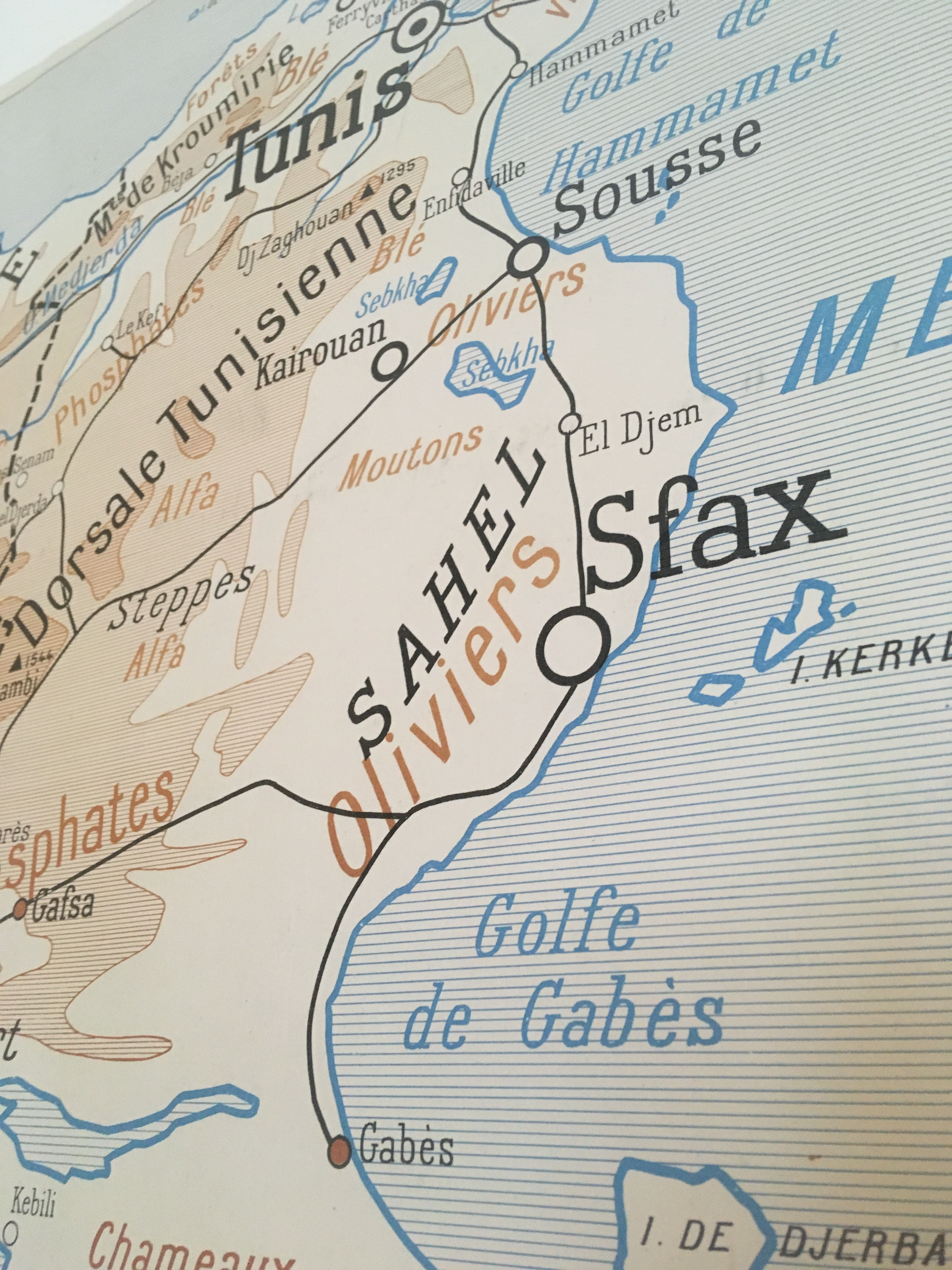 Vintage French North African Educational Map