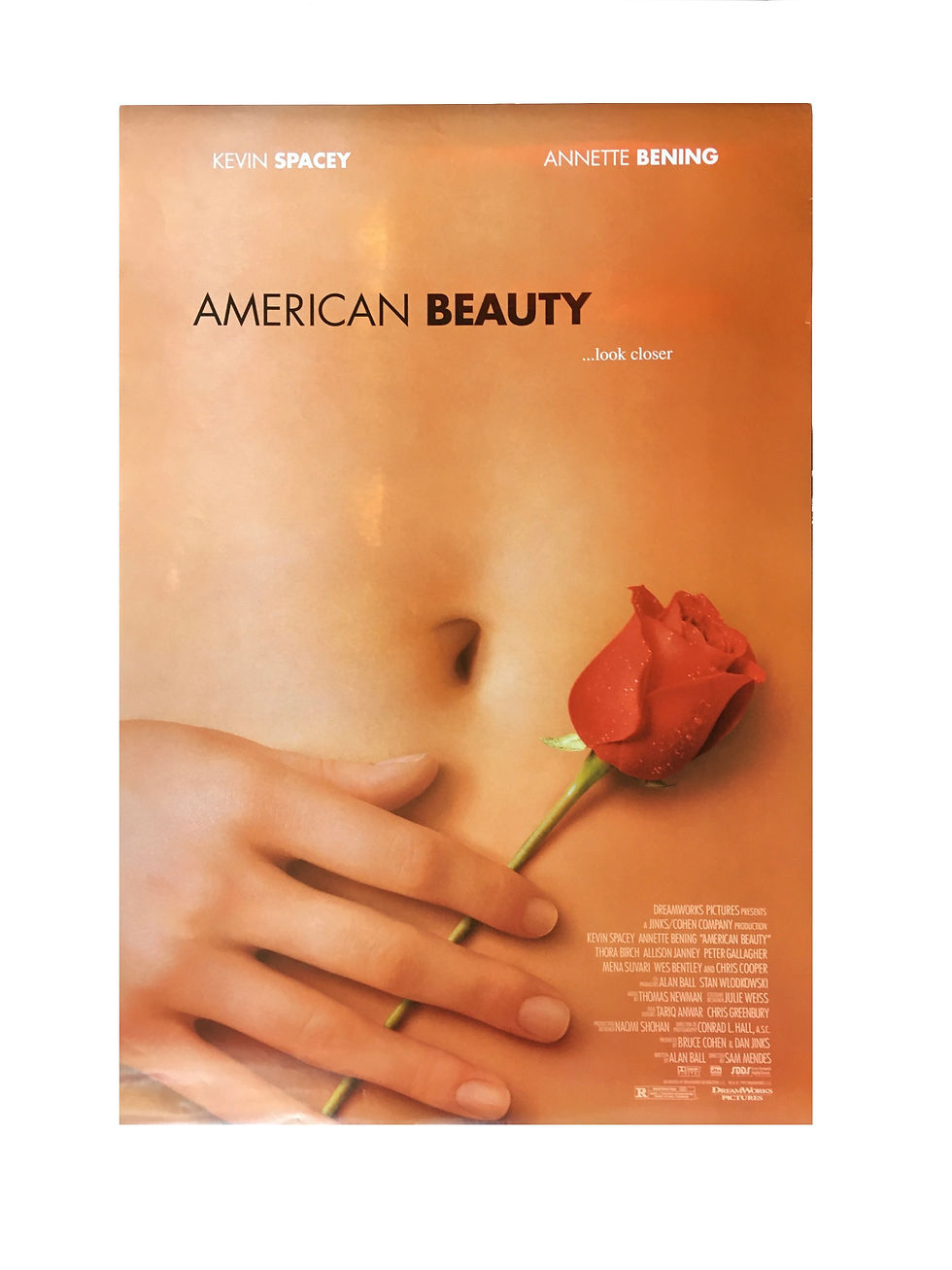 American Beauty US One Sheet
