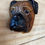 Thumbnail: Bosson's Mid Century Boxer Dog Plaques