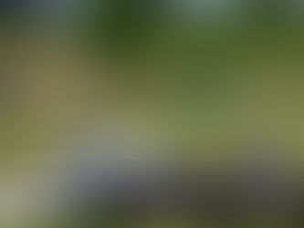 PLATTE RIVER STATE PARK - NE