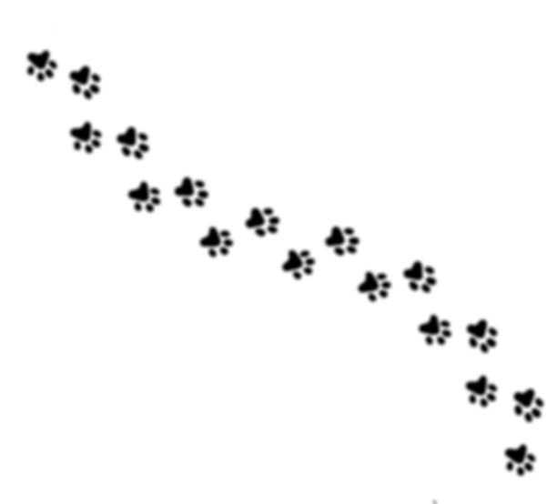 1EF2B362-A412-4885-BDC1-F08FD6B06F95 3.png