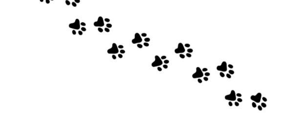 1EF2B362-A412-4885-BDC1-F08FD6B06F95 3.png
