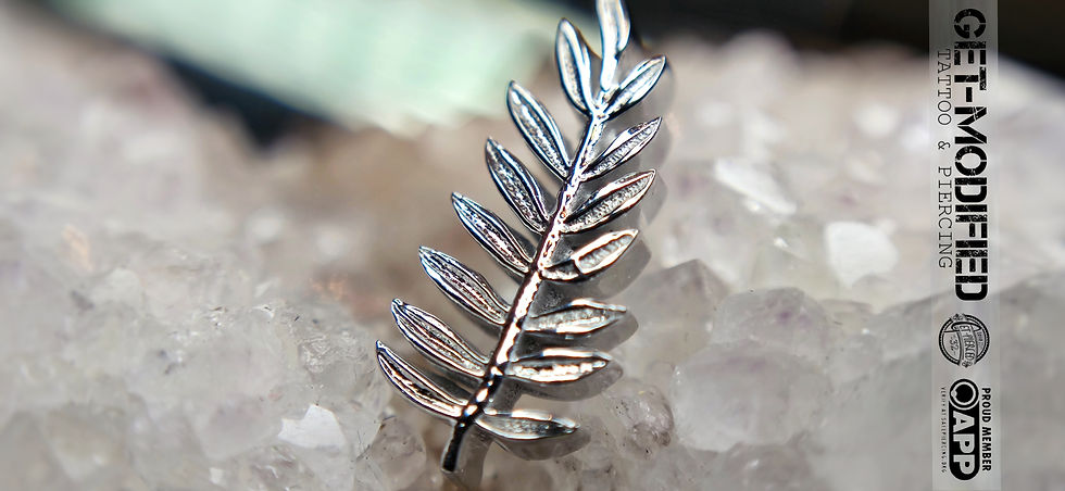 Thumbnail: BVLA Mini Fern - 12x6mm - Curved to the Left