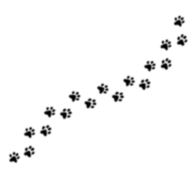 1EF2B362-A412-4885-BDC1-F08FD6B06F95.png