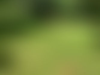Woodstock, NY hosts Labor Day disc golf event