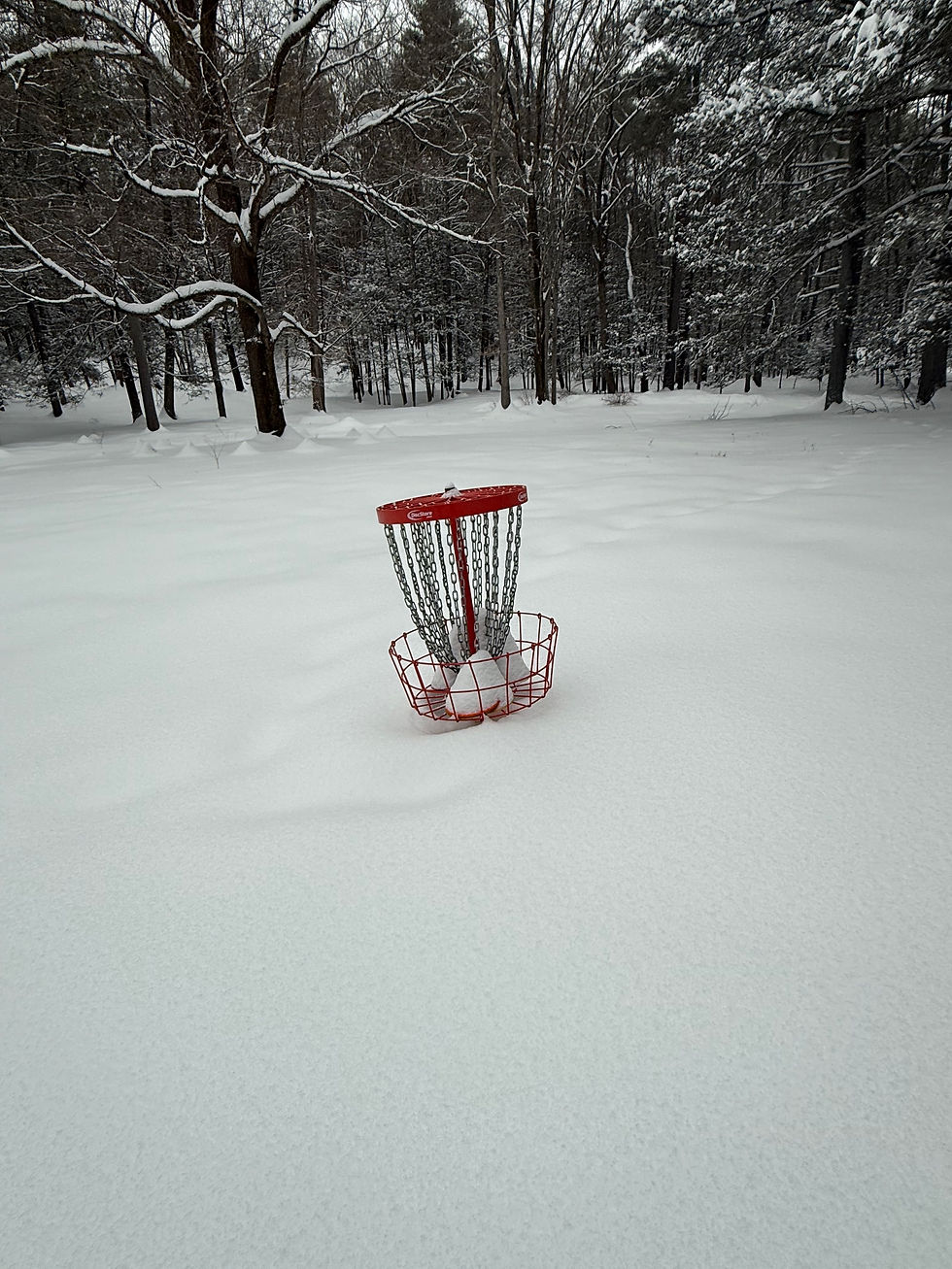Hiking to a basket is good exercise