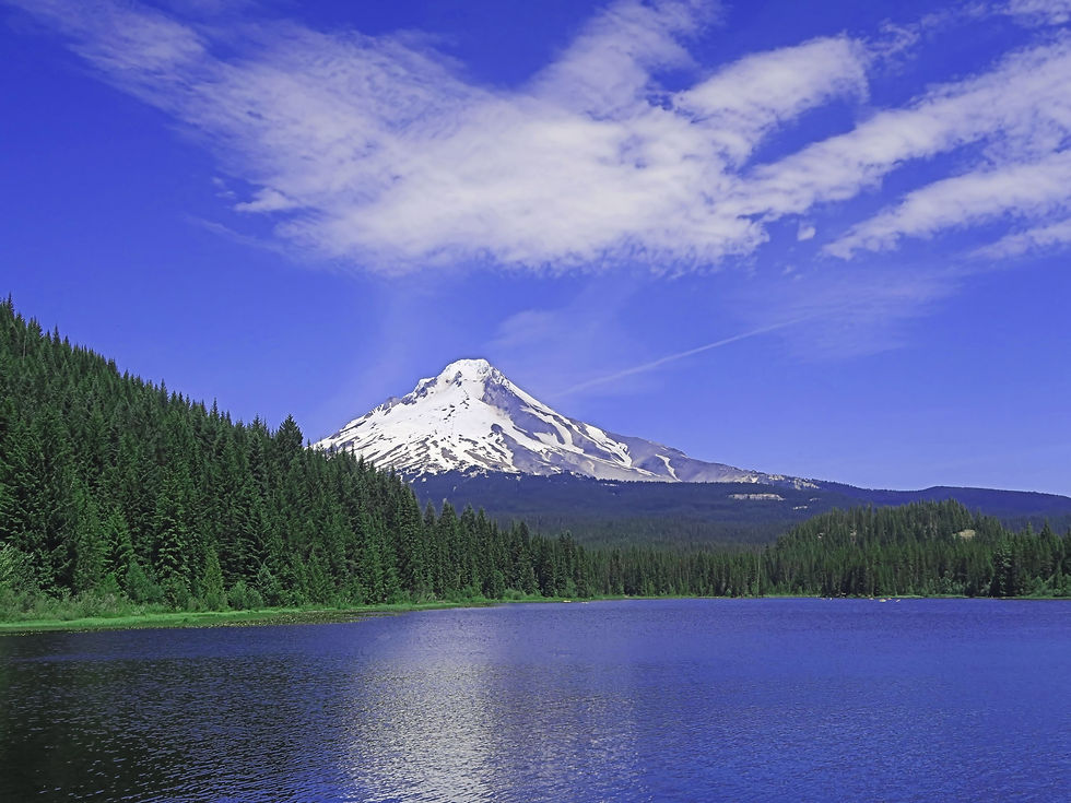 Mt. Hood and Trillium Lake