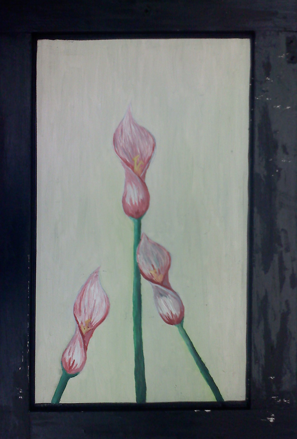 Photo# X0009