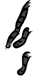 hand an.png