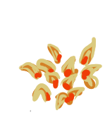 maw.png